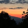 LUCY IN THE SKY's profile picture