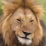 Profilbild von zAle