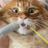 Lethe's profile picture