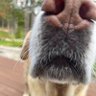 Yahtzo profil fotoğrafı