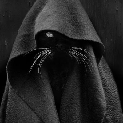 pauzudo_ssa's profile picture