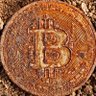 CryptoCoinGuy's profile picture