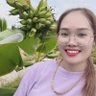 Lê Huỳnh Như's profile picture