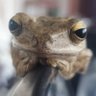 Funny_XbumG profil fotoğrafı
