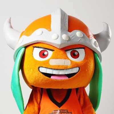 balt_vikes's profile picture