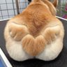 QILIN's profile picture