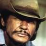 Charles Bronson's profile picture