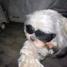 โ's profile picture