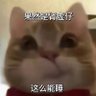 电子女友 的头像