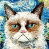 Andrew Rolland's profile picture