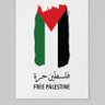 🇰🇼🤝🇵🇸Alrasheedi Matar 的头像
