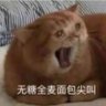 东名雾鹤's profile picture