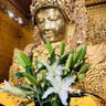Фото профиля Nan Khan Yone