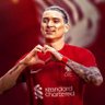 Nong Hoang Hao's profile picture