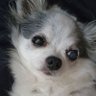 Profilbild von Yuki