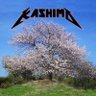 KASHIMO's profile picture