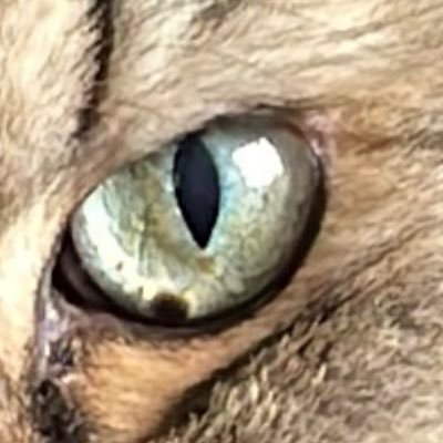 العراق هو الحضاره والحضارة هي العراق's profile picture