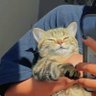 ⋈ profil fotoğrafı