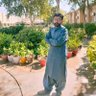 Hid Jamali 的头像
