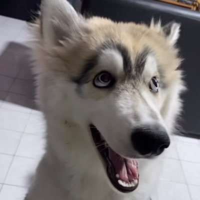 кεερ🧐εиεмιεѕ_clσѕεя ft ล่าหยก6มีนา's profile picture