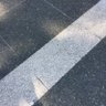 H_L Zheo profil fotoğrafı