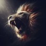 Aslan's profile picture