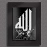 Фото профиля Hammad Awan