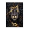 فاهم البلوشي's profile picture