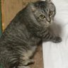てるまえろまえ profil fotoğrafı