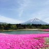 ういすけ 的头像