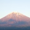 えふもち's profile picture