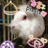 Profilbild von ふぁのん
