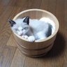 腰痛のhk(*´Д`)'s profile picture