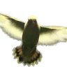 hoochan's profile picture