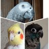 膝方歳三 profil fotoğrafı