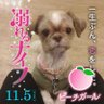 Profilbild von ユキノナーニー