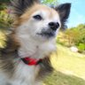 まこんりん profil fotoğrafı