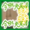ねこのまんま's profile picture