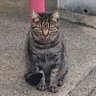 Profilbild von くろなな