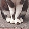 好きなもの profil fotoğrafı
