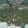 川上 世界 的头像
