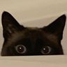 Фото профиля Schrödinger's Rogue