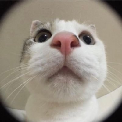 ctrlglow's profile picture