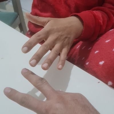 Volkan pelin's profile picture