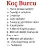 murat's profile picture