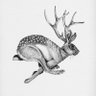 Harvey Jackalope 的头像