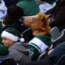 Billo's profile picture