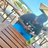 GicharuKEric's profile picture