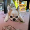 ユウヤ 的头像