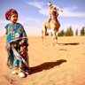 Amina dzed profil fotoğrafı